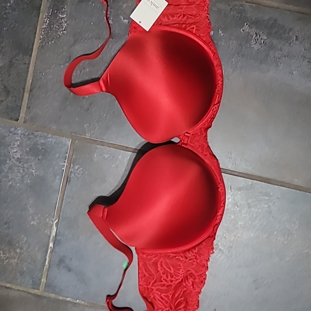 NWT Auden Red Plunge Coverage Push Up Bra 44DDD/F Lace Trim